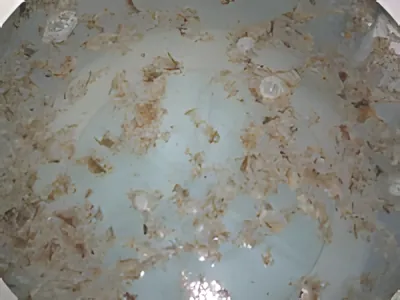 酸素系漂白剤で3時間つけ置きし、さらに剥がれ落ちた洗濯槽の汚れ