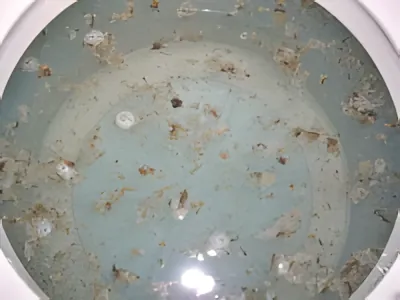 洗濯槽からまだまだ出てくる大量のカビ